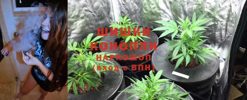 Конопля SATIVA & INDICA  купить закладку  Новошахтинск 